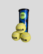 PRO MASTER – High Bounce Balls